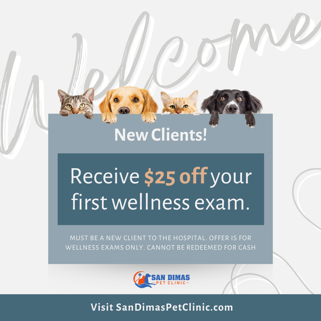 $25 Off First Wellness Exam Dog Cat San Dimas