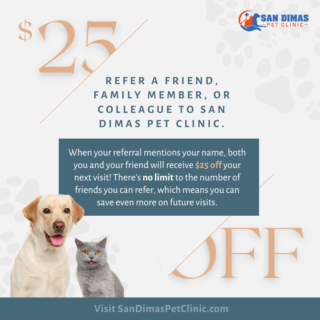 San Dimas Pet Clinic Dog Cat Client Referral Bonus