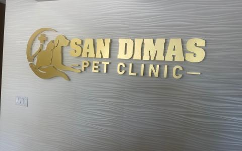 san dimas top veterinary clinic